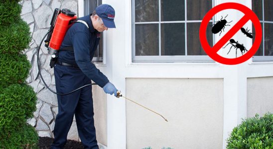 Koyulhisar Dezenfeksiyon böcek ilaçlama ve haşere kontrolü — ilaclama-tr.com